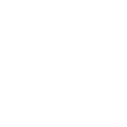 Hustlly logo